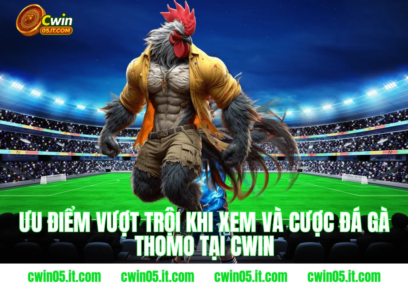 Ưu điểm vượt trội khi xem và cược đá gà thomo tại Cwin