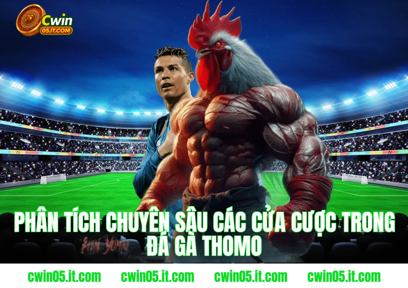 Phân tích chuyên sâu các cửa cược trong đá gà thomo