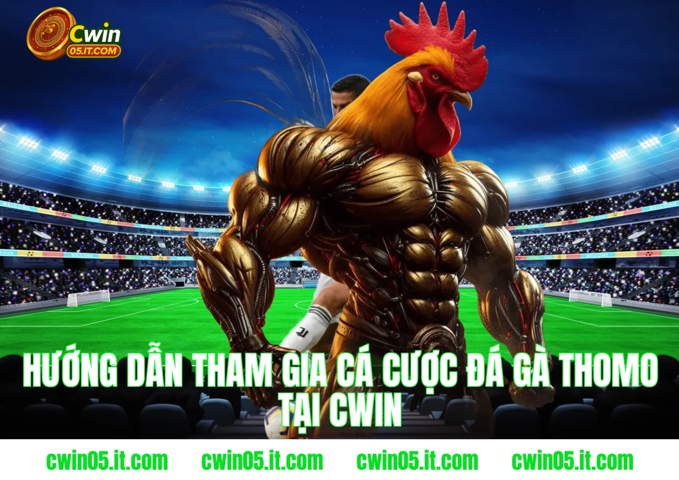 Hướng dẫn tham gia cá cược đá gà thomo tại Cwin