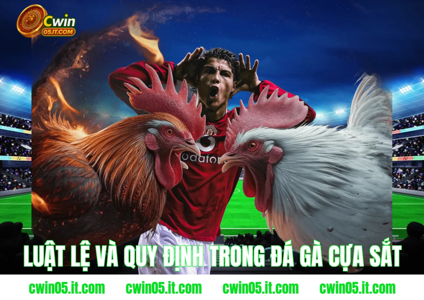 Luật lệ và quy định trong đá gà cựa sắt