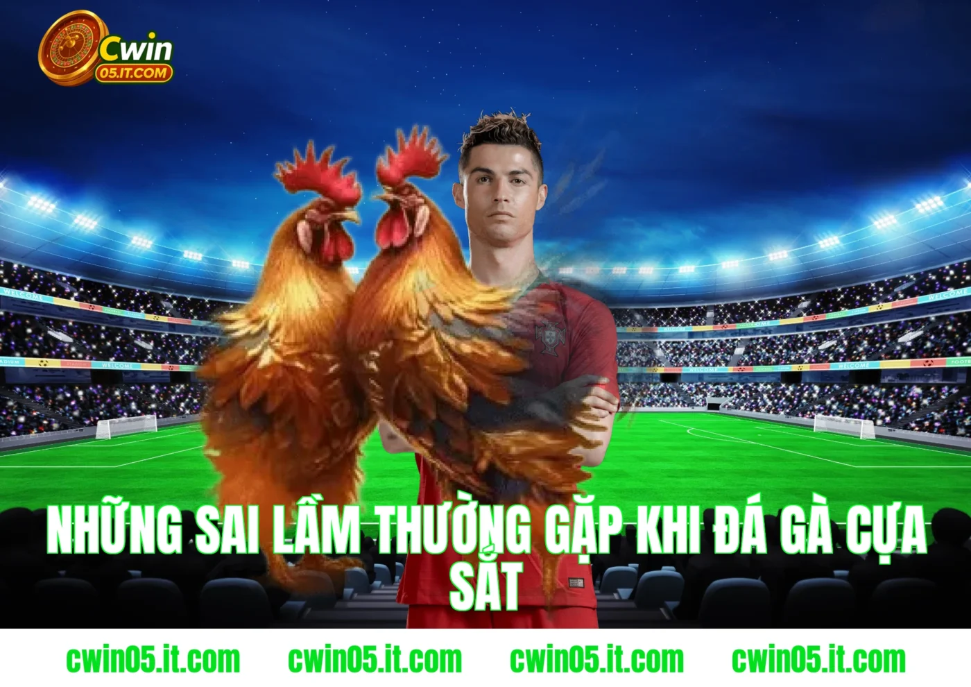 Những sai lầm thường gặp khi đá gà cựa sắt