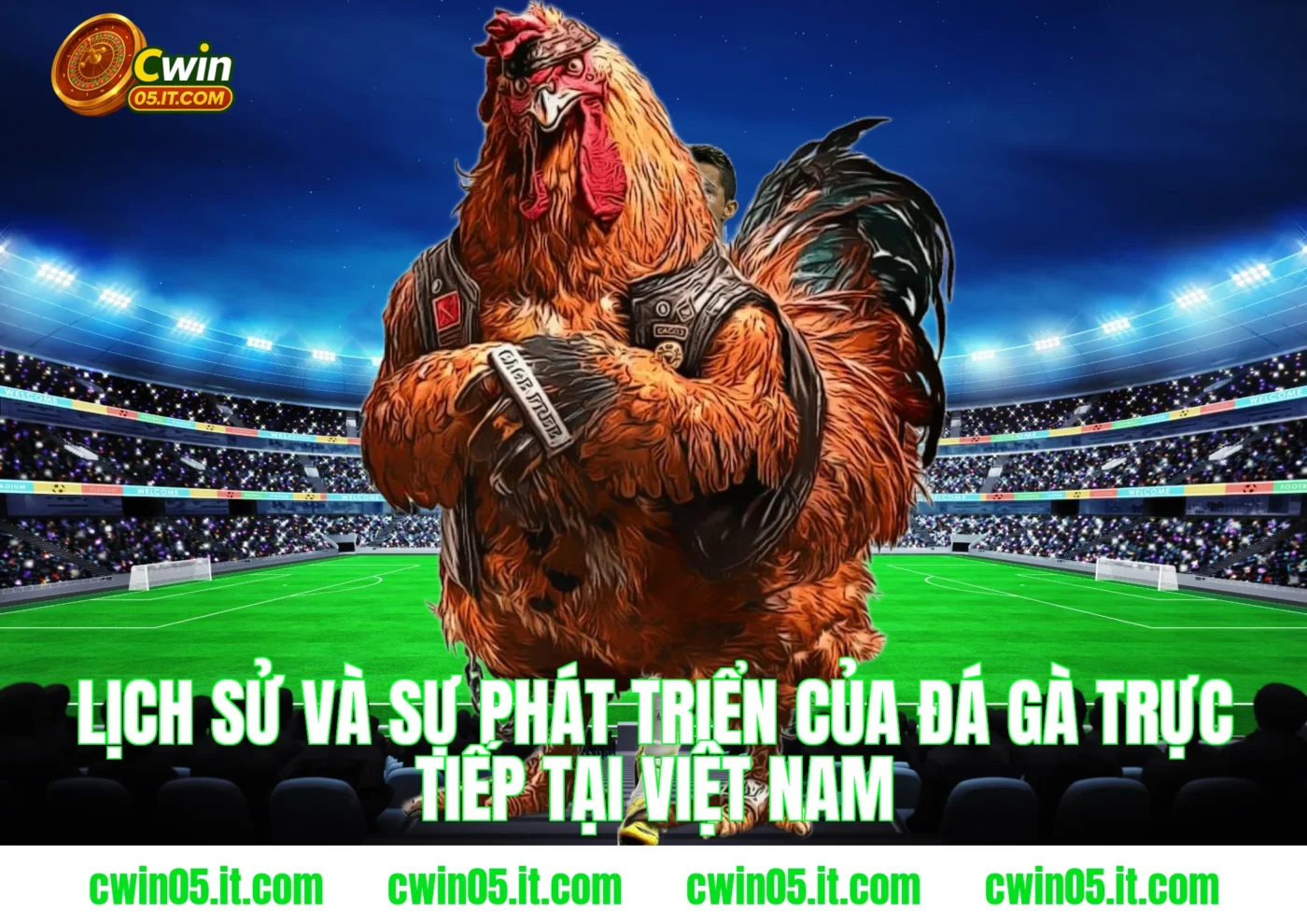 Lịch sử và sự phát triển của đá gà trực tiếp tại Việt Nam