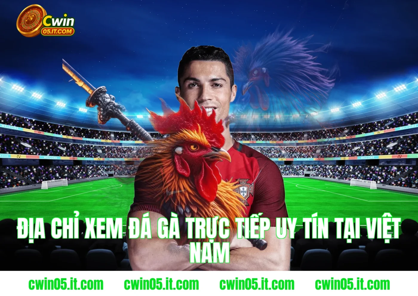 Địa chỉ xem đá gà trực tiếp uy tín tại Việt Nam